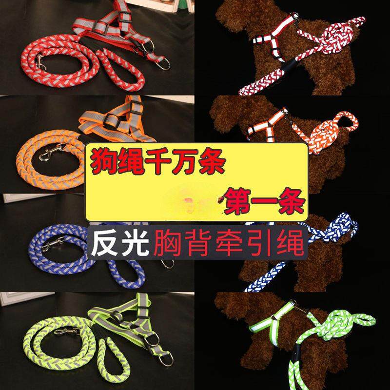 夜光狗绳狗链子反光遛狗绳胸背带宠物小中大型犬狗狗牵引绳狗绳子