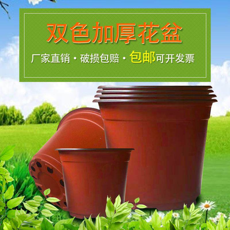 加厚pp色双色盆双色花02211盆彩地花盆育盆种植盆基盆多肉种苗植