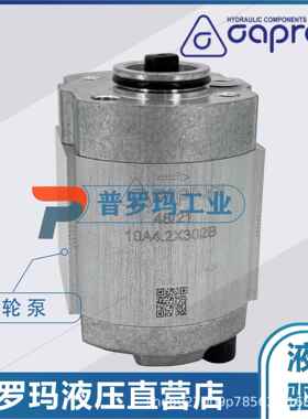 aproni齿轮泵10CA1.0250011A1.6X0X01RFM10A2.65X001油泵