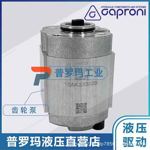 Caproni齿轮泵10C2.5×053M10C2X053M液压油泵