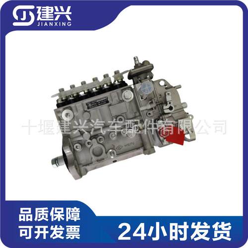 工程机械发电机组东风康明斯6CT8.3高压油泵4989873BHF6P120005