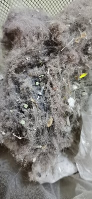 科沃斯DJ65扫地机器人怎么样?用后一,周彻底受不了,真假?