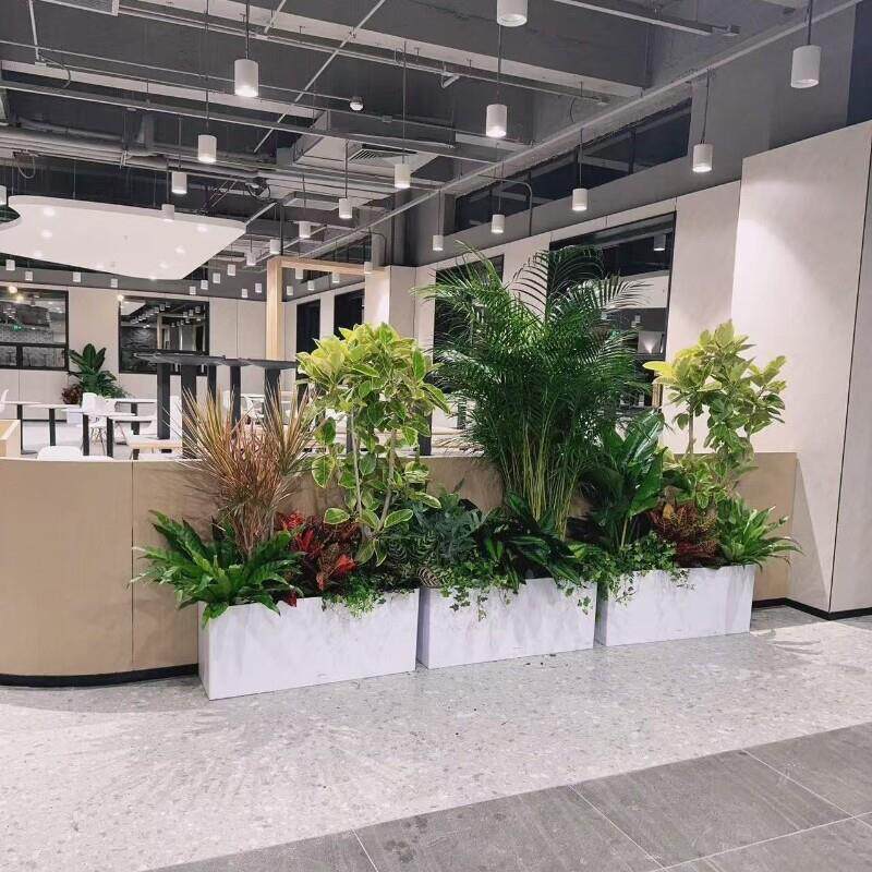 自动吸水长花盆长条形阳台专用室内家用轻奢高级感长方形加深大号