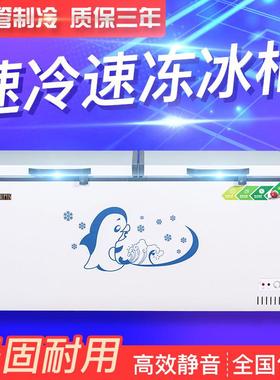雪音卧式商用大容量冰柜家用单温双温两用冷柜冷藏保鲜冷冻柜节能