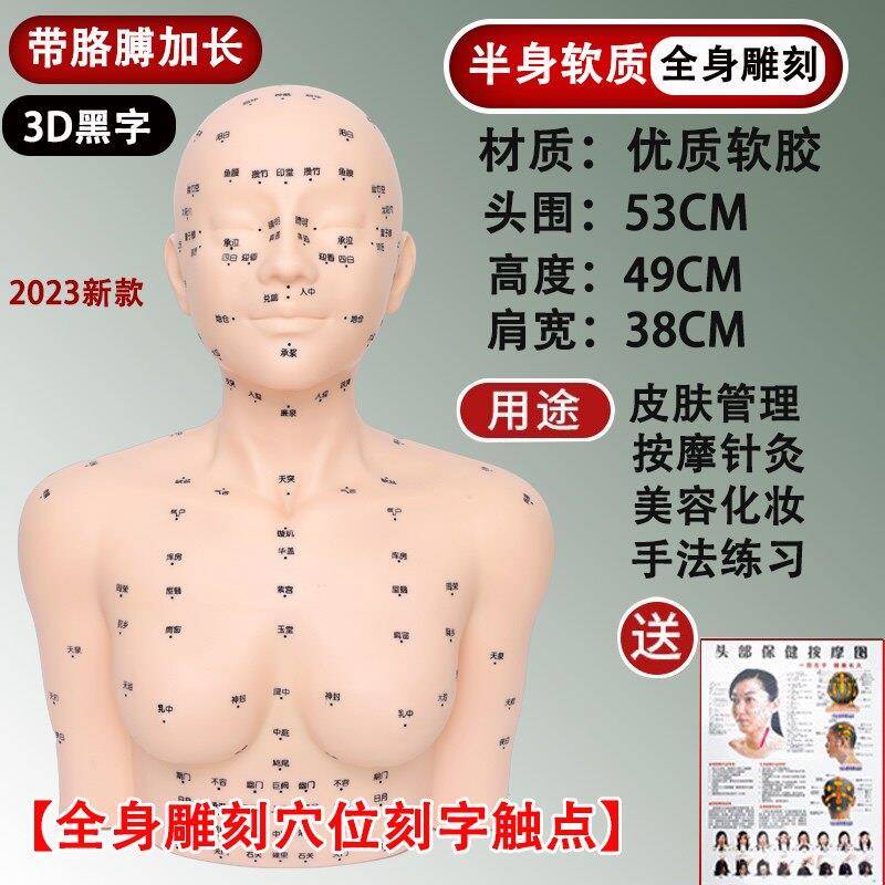 带肩膀皮肤管理人头模型美容院练习脸部穴位按摩手法字体穴位模型