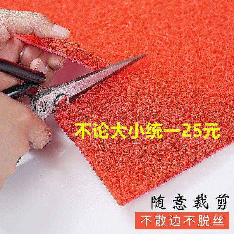 地垫大面积室外红地毯塑料丝圈垫子防水门口垫进门迎宾脚垫防滑垫,居家布艺,地毯,淘宝优惠券,粉丝福利购,淘宝优惠卷