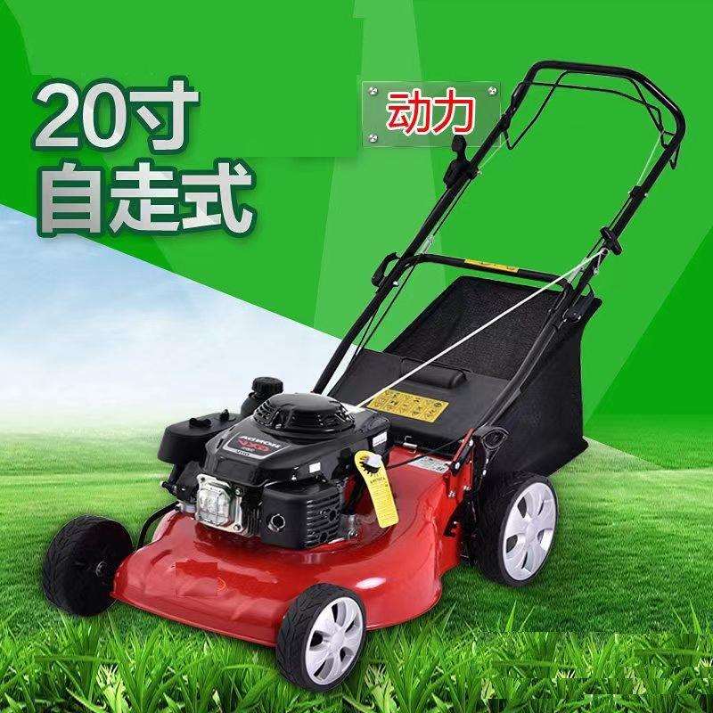 山东工厂20寸自走型草坪机绿化园林小型手推式割草机修草机