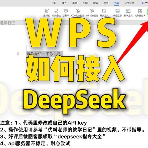 wps 接入 deepseek 代码 相关资料包（有自己api key里面有余 余
