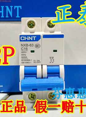 CHNT正泰断路器2P16A 32A 40A双进双出C63两相空气开关NXB-63总