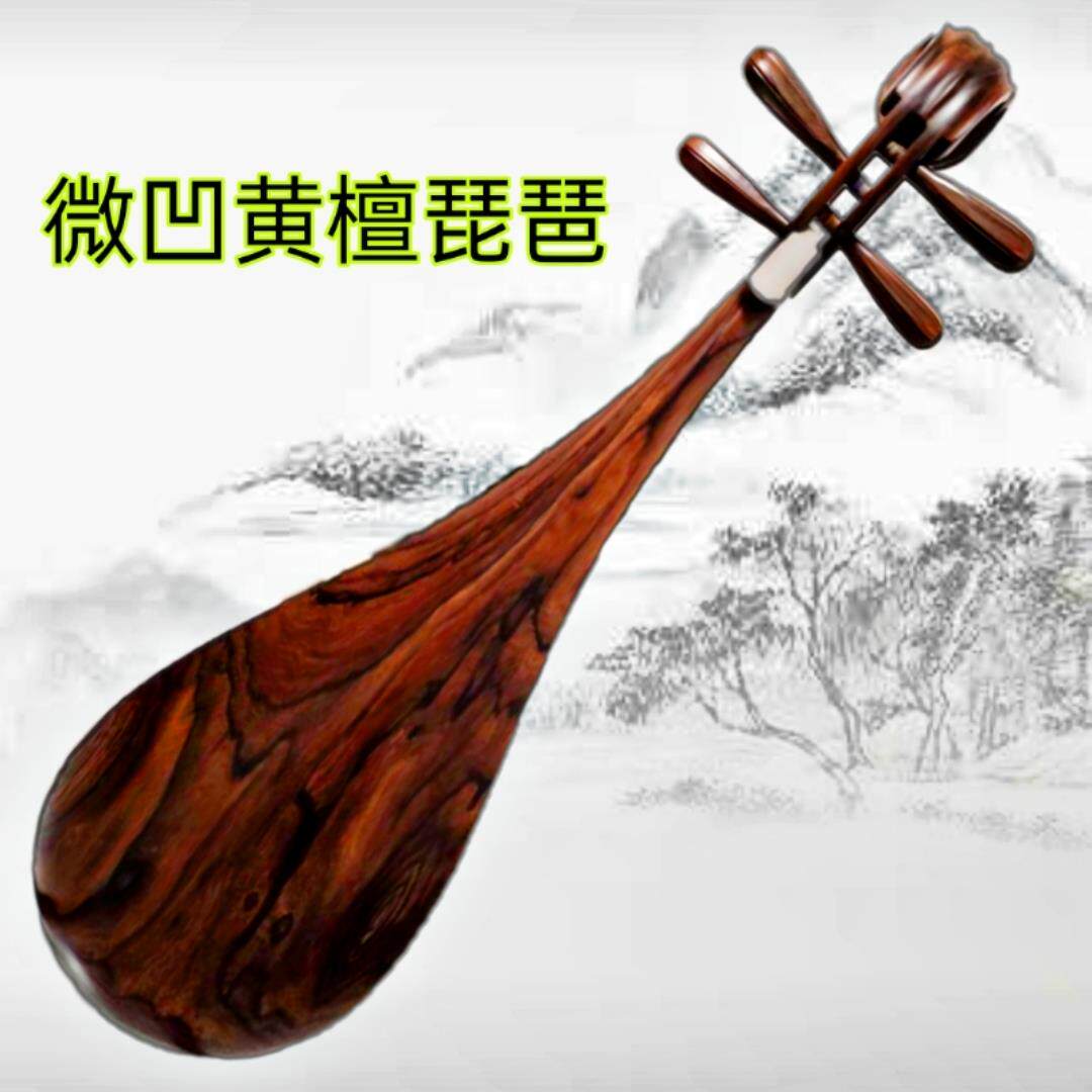 正品琵琶乐器绿刺紫檀黄檀檀紫光檀木抛成人考级猬演奏光厂家直销