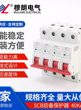 SCB后备保护器 40KA 电涌分断器防雷 浪涌后备保护器前置开关