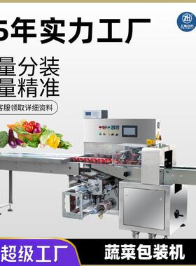 上海众和BJWZ-600蔬菜包包装机枕式包装机