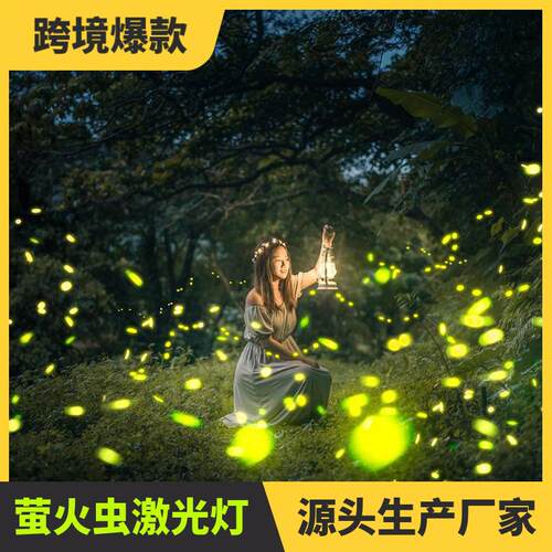 户外亮化工程防水大功率萤火虫园林激光灯公园草坪树林露营动态逼