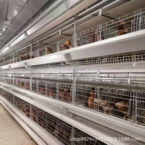高密度养鸡自动拾蛋养殖笼养鸡场用自动化笼具现代化养鸡设备