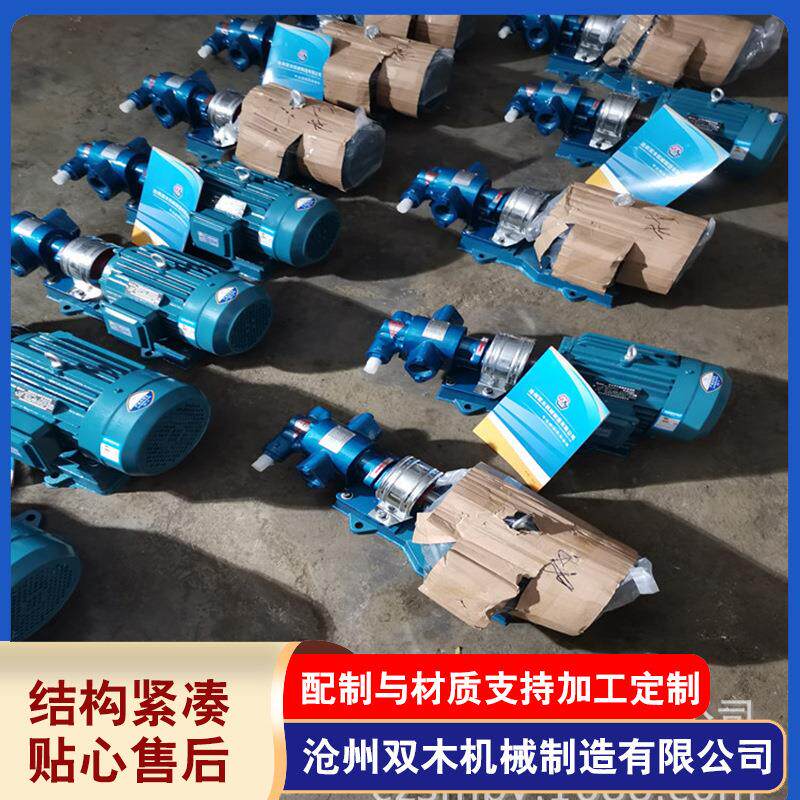 不锈钢KCB系列齿轮泵KCB-200泵头2CY12/0.36齿轮输油泵厂家供应