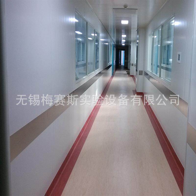 无锡南通泰州洁净厂房装修 不锈钢风淋室 双吹风淋室 净化工程