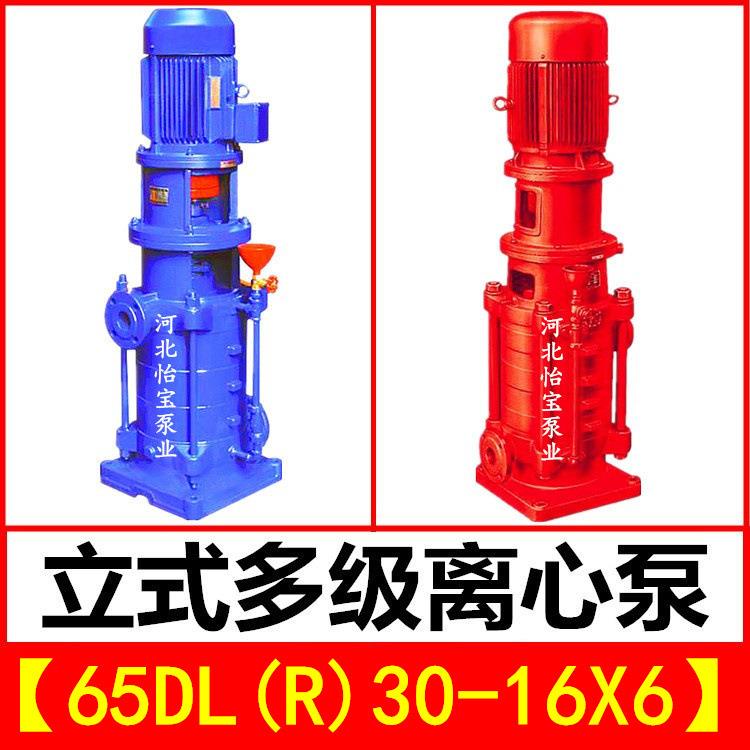 65DL30-16X6立式多级泵DLR型热水增压管道离心泵 高层建筑给水泵
