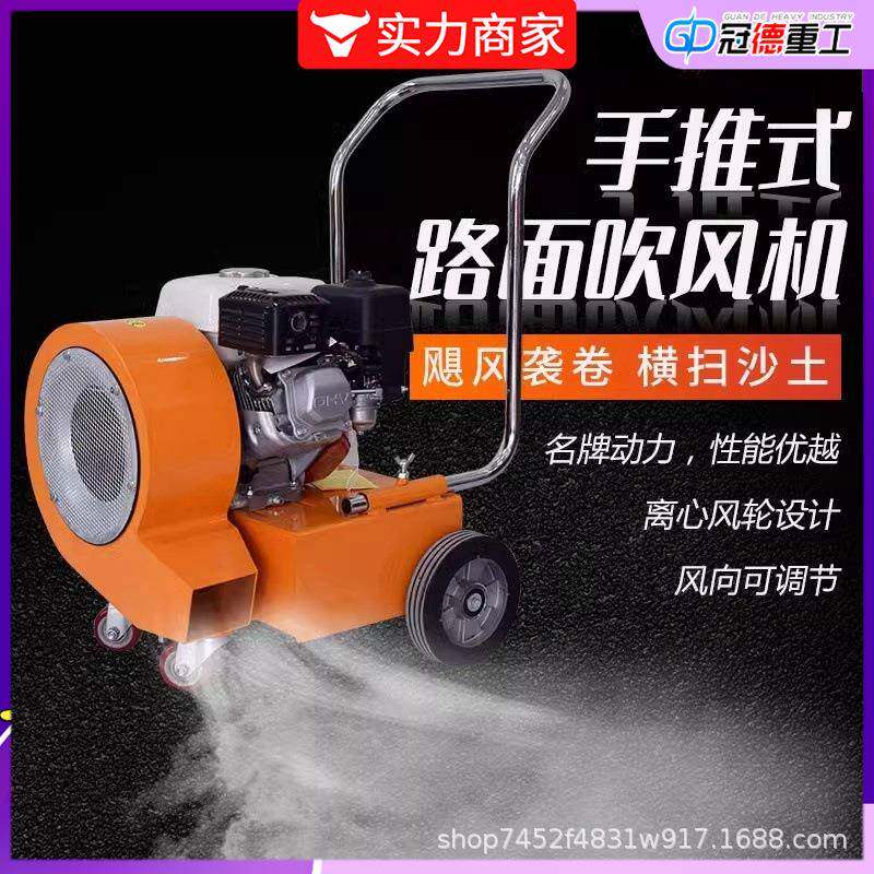 手推式路面除尘机 工业树叶公路汽油马路吹雪机 大风力养护吹风机