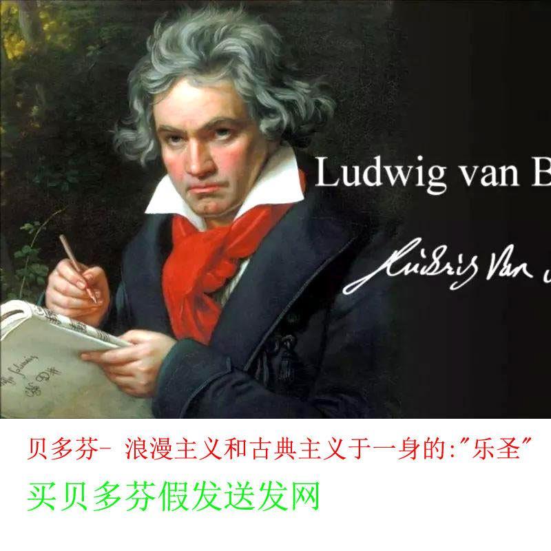 贝多芬同款古典交响乐之乐圣舞台表演音乐逼真蓬松高温丝假发套