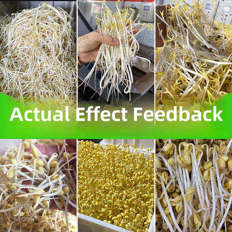 新盛阳光全自动豆芽机40- 1000公斤黄、绿豆芽机生产厂家大型商用