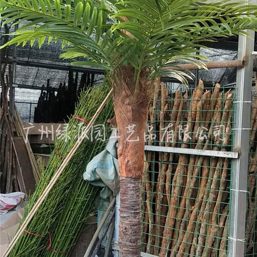 发布会仿真热带棕榈树大型室内外棕榈树酒店大门橱窗陈列假棕榈树