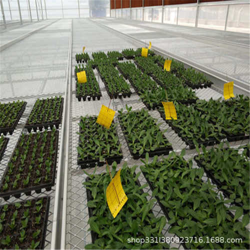 固定苗床热镀锌苗床植物苗床温室大棚双层多层养花育苗苗床