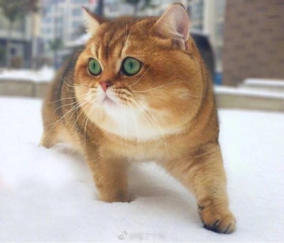 求助真相韩雅乳液/面霜怎么样，小编有话提醒各位！