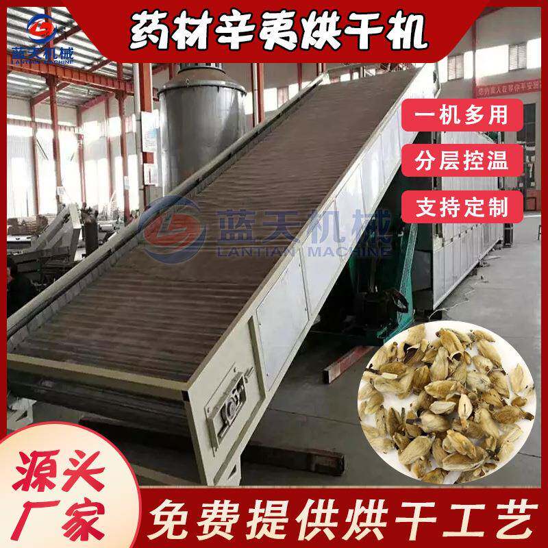 辛夷烘干机网带式全自动木兰辛夷花中药材烘干设备木笔花烤干机