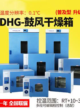 上海一恒DHG-9075A电热鼓风干燥箱200/300℃干燥培养箱实验室烘箱