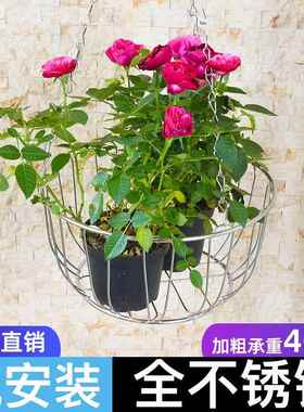 不锈钢垂吊挂篮花盆架悬挂式吊篮吊兰盆花架阳台吊盆架子简易挂架