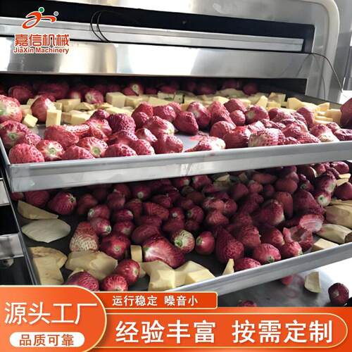 草莓榴莲无花果秋葵苹果真空冻干机鸡胸肉鹌鹑多春鱼真空冻干机