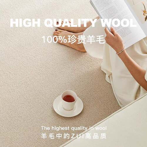 新西兰羊毛肌理感地毯客厅高级奶油纯色极简轻奢易打理耐脏地垫子