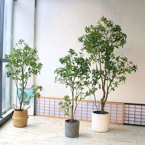 造景绿植中式服装酒客景厅橱窗日落地花艺店造绿植物塑料套装仿真