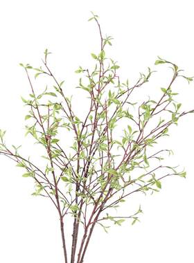 仿真植物 小叶芽枝 龙柳枝绿色花艺配材柳芽柳支线条花艺家居装饰