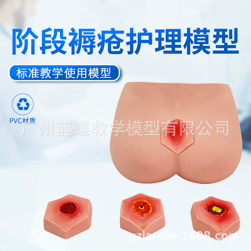 阶段褥疮护理模型养老护理教学阶段褥疮护理训练压疮护理训练模具