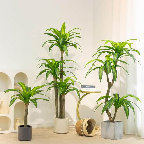 彷真巴西木绿植大型高端轻奢室内客厅落地盆栽彷生假植物装饰摆饰