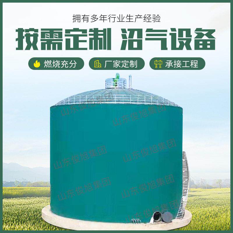 沼气脱硫工程成套设备 沼气发电净化工程设备 沼气提纯天然气设备