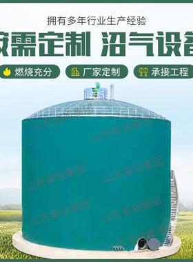 沼气脱硫工程成套设备 沼气发电净化工程设备 沼气提纯天然气设备