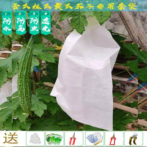 苦瓜专用丝瓜雨水防虫透气保温箱