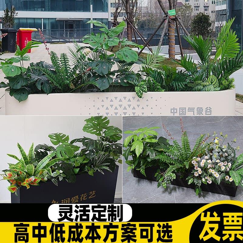 墙角室内造景地台店内装饰室外假植物绿色的禄植盆栽彷真绿色植物
