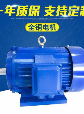 三相异步电动机YE4100L2-4-3W大功率设备机械马达工业立式电机