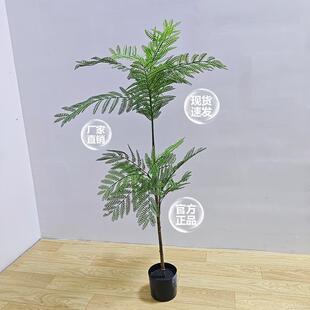仿真绿植蓝花楹内盆栽树蓝花楹仿大型仿生植物室假奢客厅装轻饰品