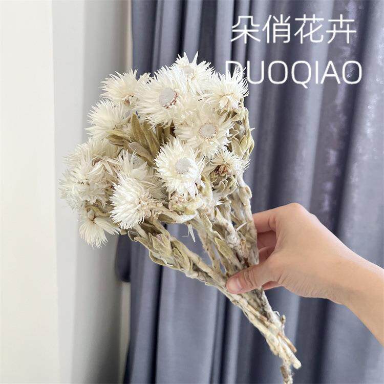 岩石花永生岩石花干花汉雪莲干花软装配饰插花银雪花婚庆花材民宿