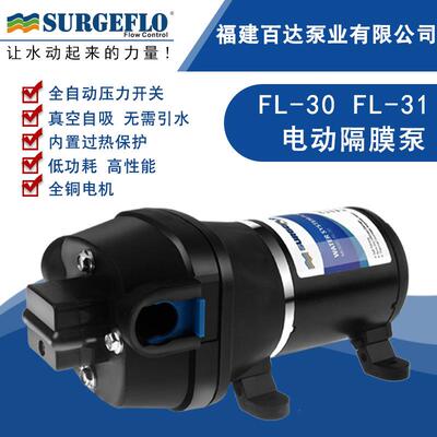 FL-3012V24V直流电动房车游艇生活增压供水自吸清水泵户外抽水泵