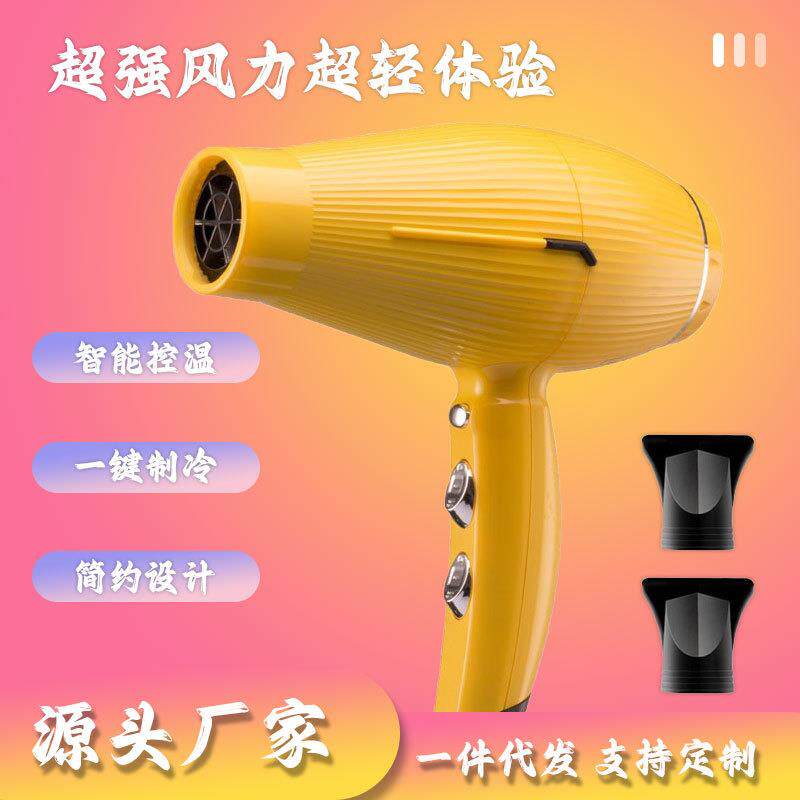 轻巧高端大功率发廊专用电吹风机高速交流电机