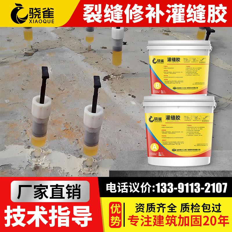 灌缝胶水泥墙缝找平胶混凝土裂缝修补剂环氧树脂灌浆料建筑加固胶