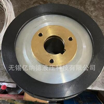 湿式多片电磁离合器DLM5-63 DLM5-63A DLM5-100A DLM5-1.2C