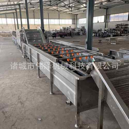 草莓气泡清洗机花生大枣黄瓜香喷淋式气泡清洗设备山野菜清洗线