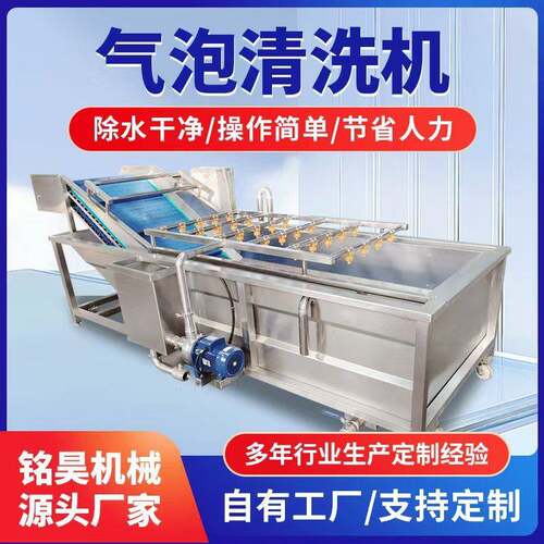 不锈钢气泡清洗机叶菜类气泡喷淋清洗机菠菜生菜去泥沙喷淋设备