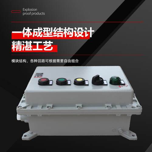 防爆配电箱防爆接线箱仪表箱按钮控制箱开关电源箱不锈钢电柜出口